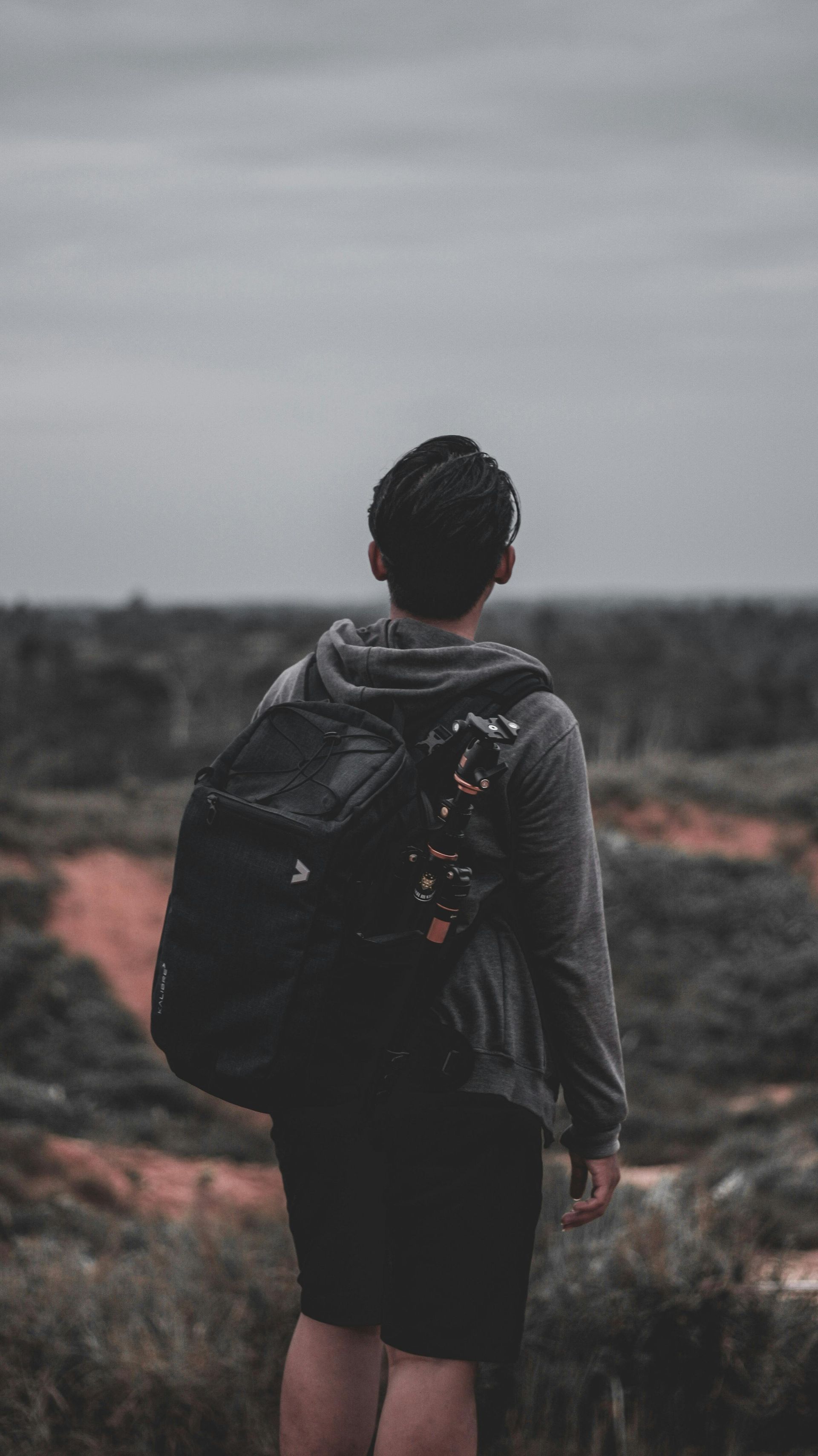 A person with a backpack seen from behind, gazing across an open landscape